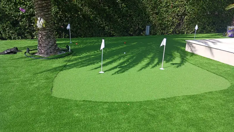 Backyard putting green with three flags and practice balls beside a pool deck, framed by a tall hedge and a palm